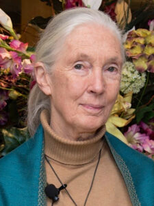 Greyter Impact - Jane Goodall
